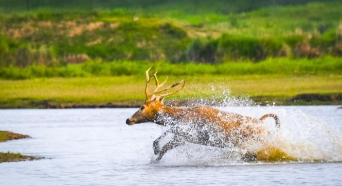 35f339ee826b35c83b0a7599d384f6e7.jpg 35f339ee826b35c83b0a7599d384f6e7.jpg