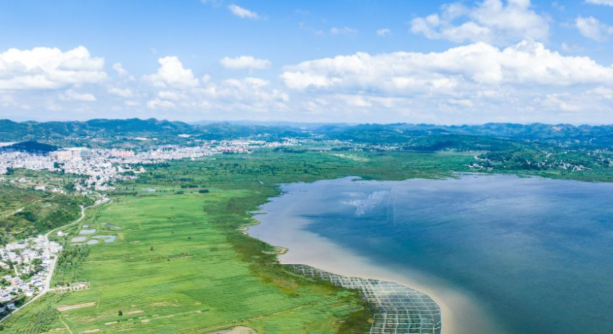 8d1e9da925a2fe2c9fc0e522af6bb2e4.png 8d1e9da925a2fe2c9fc0e522af6bb2e4.png