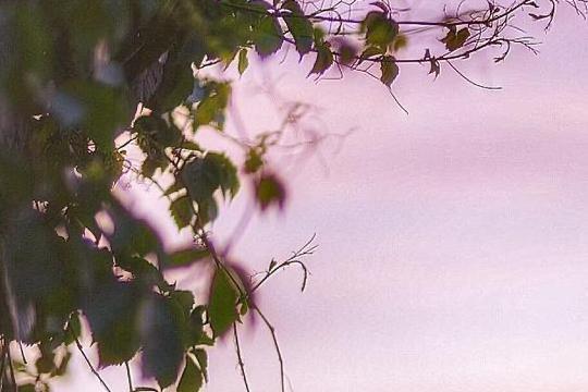 8718367adab44aed7a79e32c23c2440aa08bfb29.jpg 8718367adab44aed7a79e32c23c2440aa08bfb29.jpg